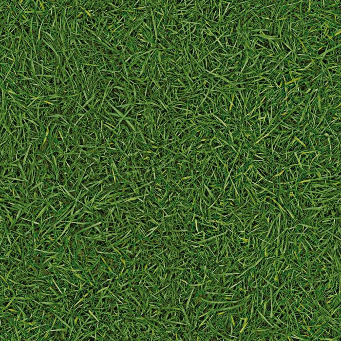 SIMPLY NATURALS GRASS VINYL